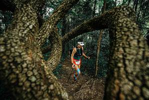 BIB: 
                            <button type="button" onclick="openModal(25668740)" class="btn btn-primary btn-sm float-right btn-popup" data-toggle="modal" data-target=".modal-high-quality">
                        <i class="fas fa-shopping-cart"></i> Add to Cart
                    </button>
                                            <button type="button" onclick="isThisMe(25668740, true)" class="btn btn-success btn-sm float-right btn-popup btn-isme hidden" data-toggle="tooltip" data-placement="bottom" title="นี่คือรูปของคุณใช่ไหม คลิกที่นี่เพื่อเอาเข้าอัลบั้ม">
                        <i class="fas fa-plus"></i> Add to album
                    </button>
                    <button type="button" onclick="isThisMe(25668740, false)" class="btn btn-warning btn-sm float-right btn-popup btn-isnotme hidden">
                        <i class="fas fa-ban"></i> Remove from album
                    </button>